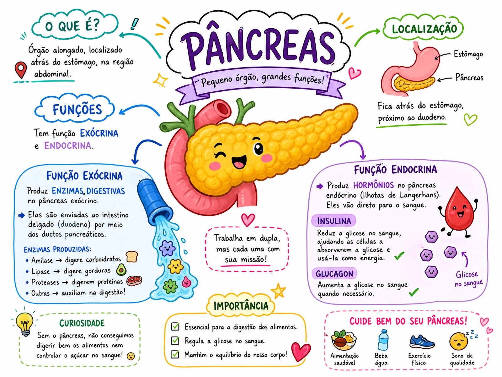 Pâncreas
