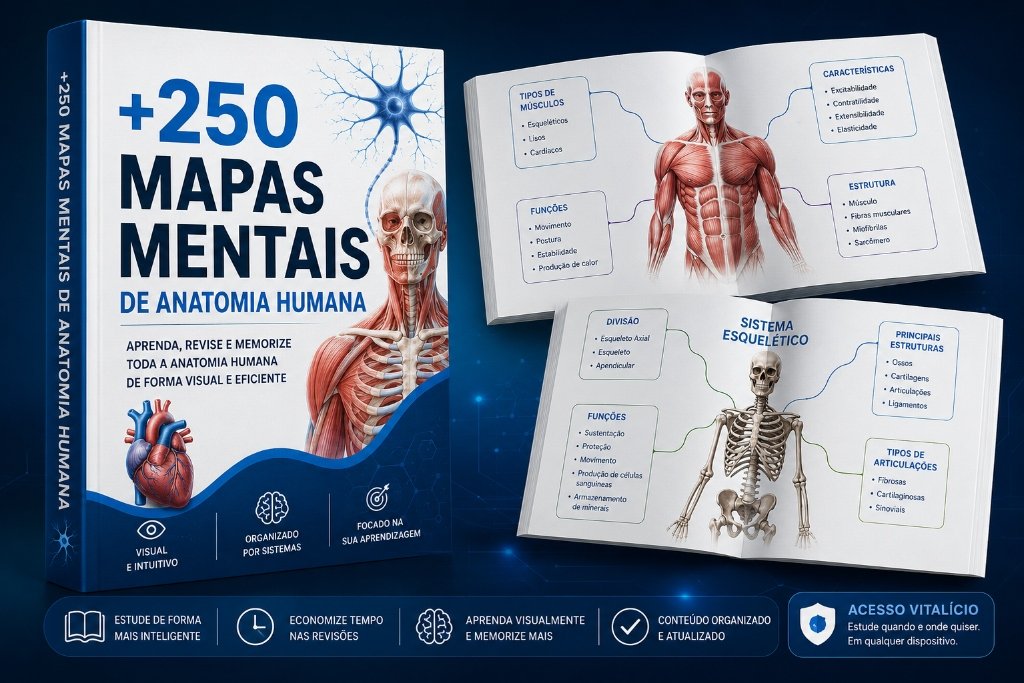 Kit completo MapaAnato