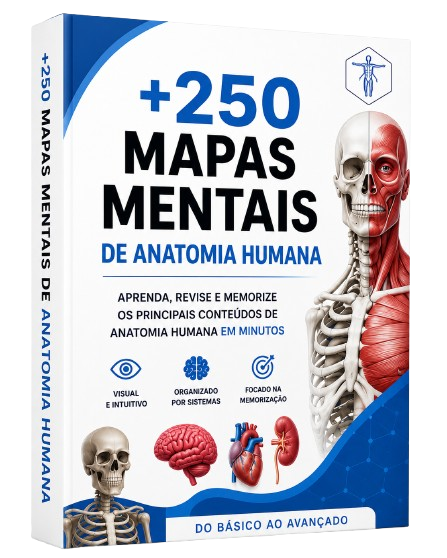 Plano Premium MapaAnato